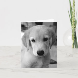 Missing You Puppy Card