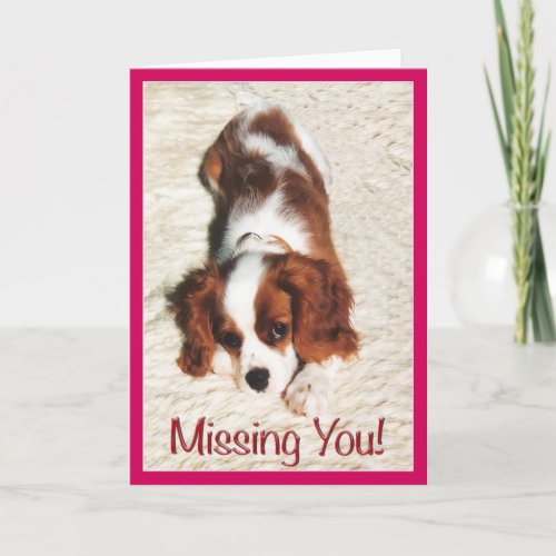 Missing You Puppy Cavalier King Charles Spaniel Card