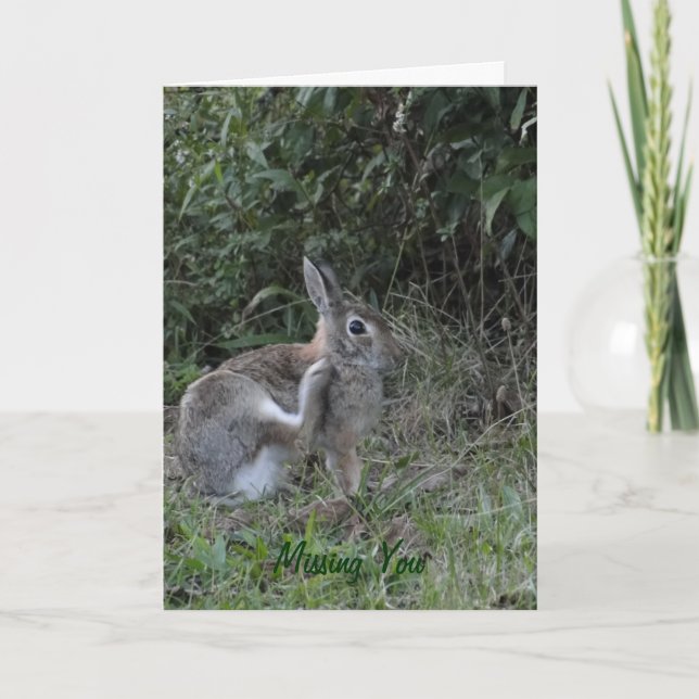 Missing You/Rabbit Card (Front)