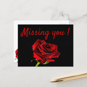 Missing you romantic red rose postcard