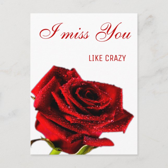 Missing you romantic red rose postcard (Front)