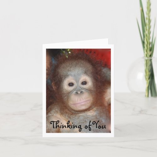 Missing You Sad Face Baby Animal Card