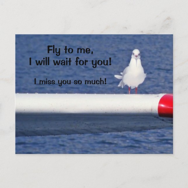 Missing You - Seagull Postcard (Front)