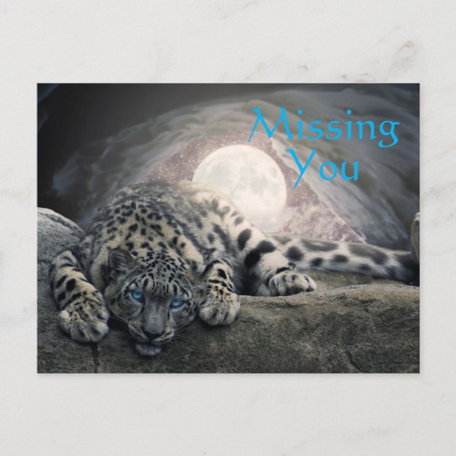 Missing You Snow Leopard Postcard (Front)