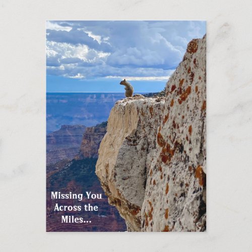 Missing You Squirrel at Grand Canyon North Rim Postcard