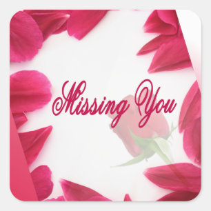 Missing you - Stickers