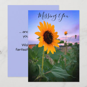 Missing You Sunflower At Dusk Photo Custom Card