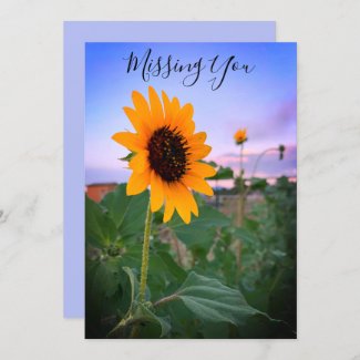 Missing You Sunflower At Dusk Photo Custom