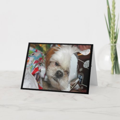 Missing You This Christmas Card With Shih tzu