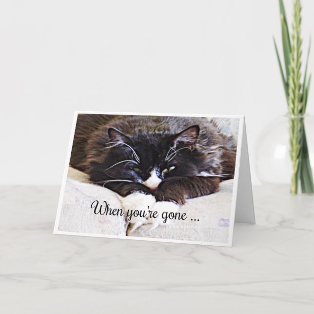 Missing you "When you're gone"  Sad Cat Humour Card (Front)
