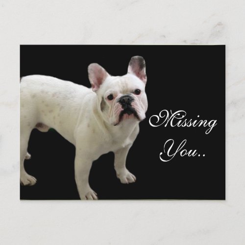 MIssing You White French Bulldog postcard