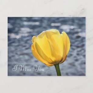 Missing You With Yellow Tulip Flower and Water Postcard