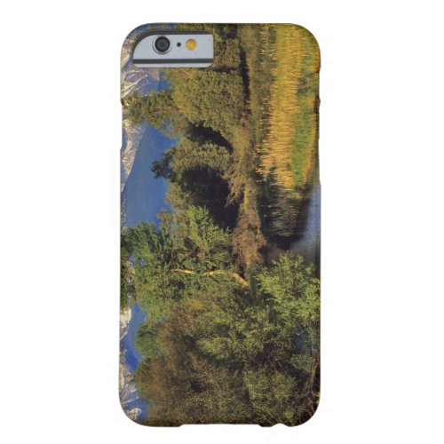 Mission Creek in the National Bison Range in Barely There iPhone 6 Case