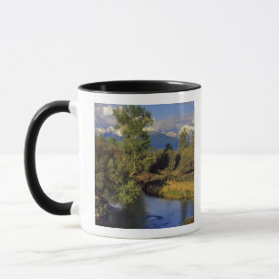 Mission Creek in the National Bison Range in Mug
