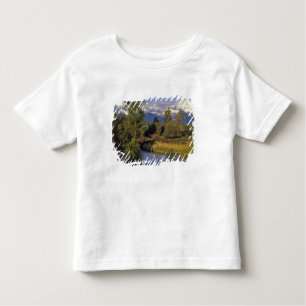 Mission Creek runs through the National Bison Toddler T-shirt