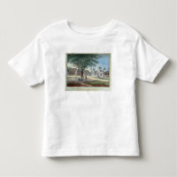 Missionary Buildings, St. Johns, Antigua (w/c and