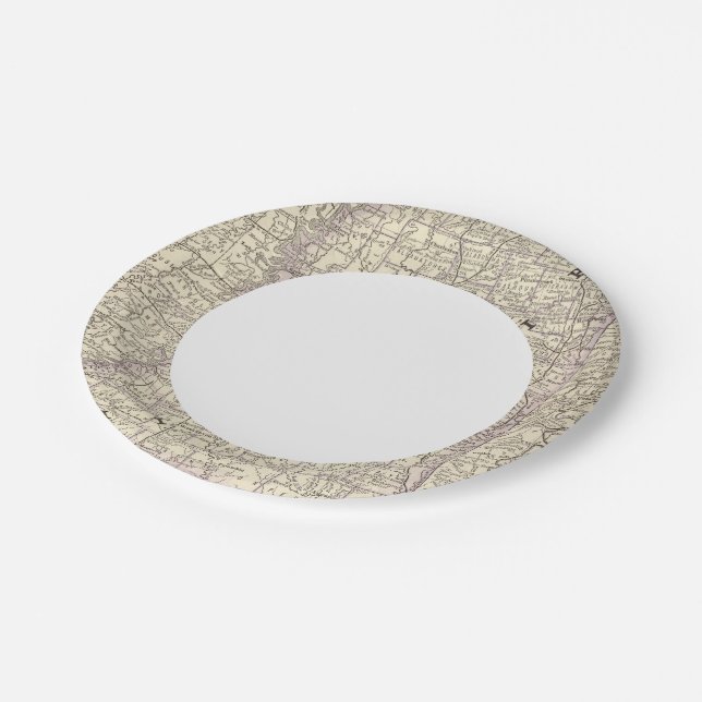 Mississippi 9 paper plates (Angled)