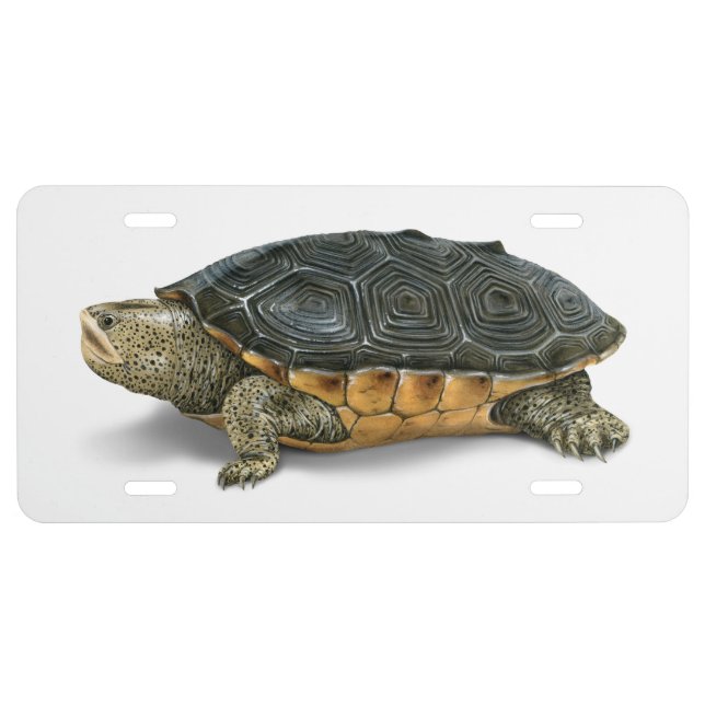 Mississippi Diamondback Terrapin License Plate (Front)