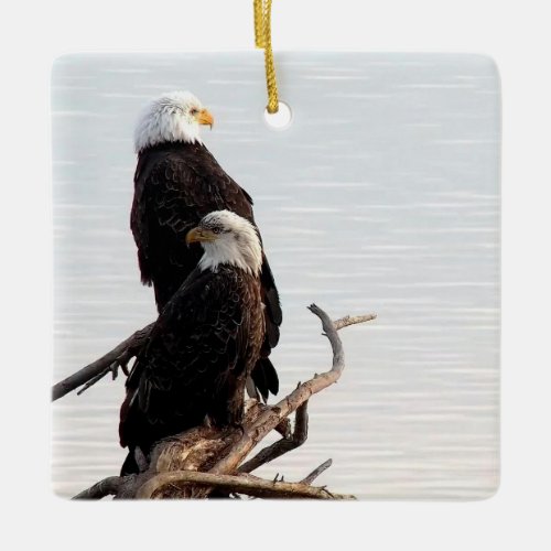 Mississippi Flyway Dreaming Ceramic Ornament