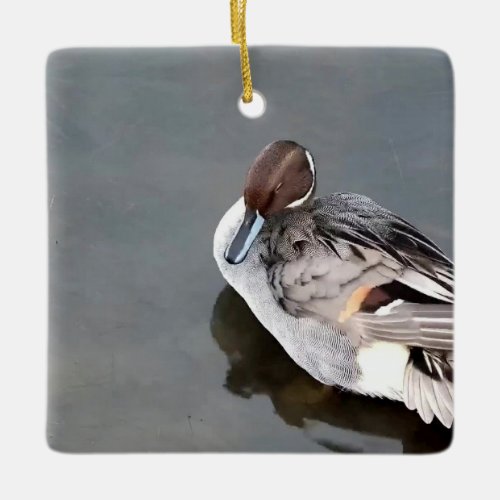 Mississippi Flyway Dreaming Northern Pintail Duck Ceramic Ornament