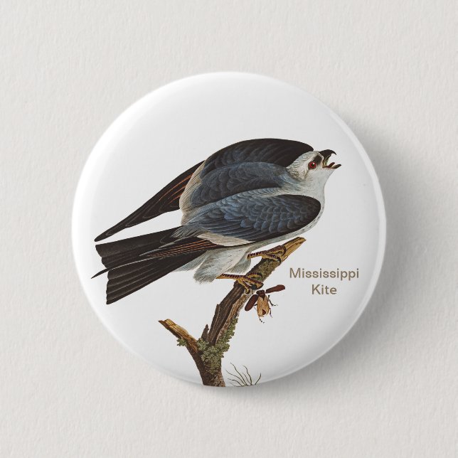 Mississippi Kite, John James Audubon Birder's Bird Button (Front)