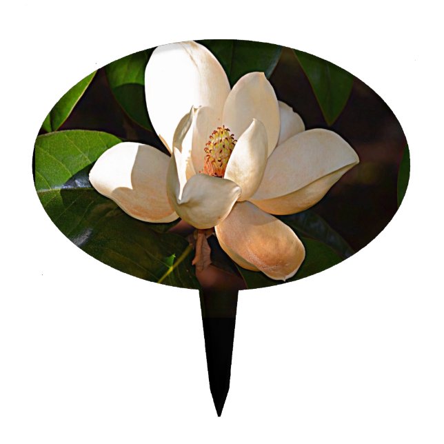 Mississippi Magnolia Cake Topper (Front)