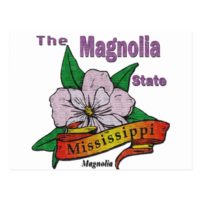 Mississippi Magnolia State  Flower Post Cards