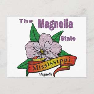 Mississippi Magnolia State Flower Postcard