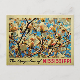 Mississippi Magnolias Postcard