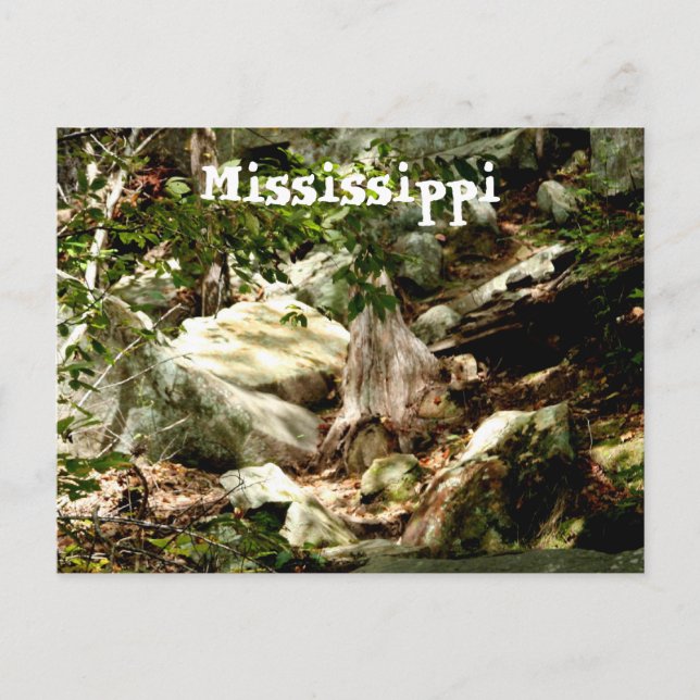 Mississippi Postcard (Front)