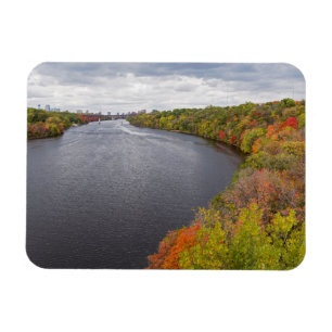 mississippi river and wooded banks in minneapolis magnet