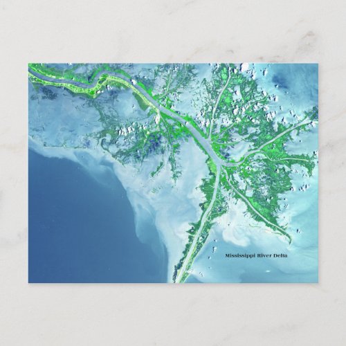 Mississippi River Delta Satellite Postcard