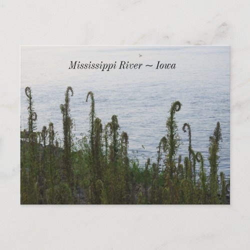 Mississippi River in Dubuque Iowa Keepsake Postcard