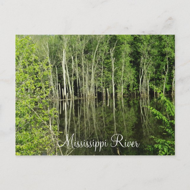 Mississippi River Postcard (Front)