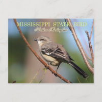Mississippi State Bird - Northern Mockingbird