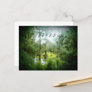 Mississippi Swamp - Postcard