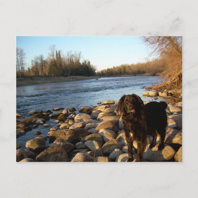 Mississppi river - Good Morning Postcard (Front)