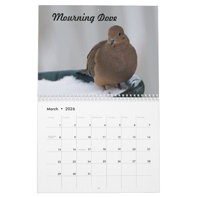 Missouri Backyard Birds Calendar (Mar 2026)