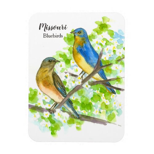 Missouri Bluebirds Blooming Hawthorn Tree Magnet
