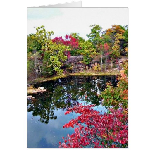 Missouri Fall Photograph Cards (Front)