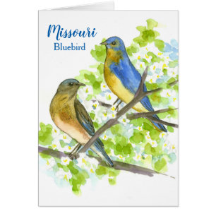 Missouri Greetings Bluebirds In A Hawthorn Tree Cards