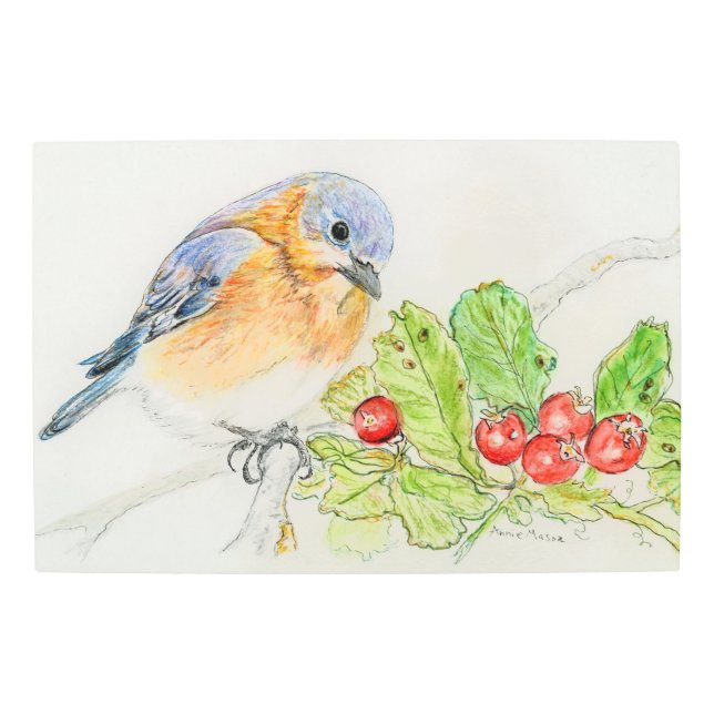 Missouri Metal Print (Front)