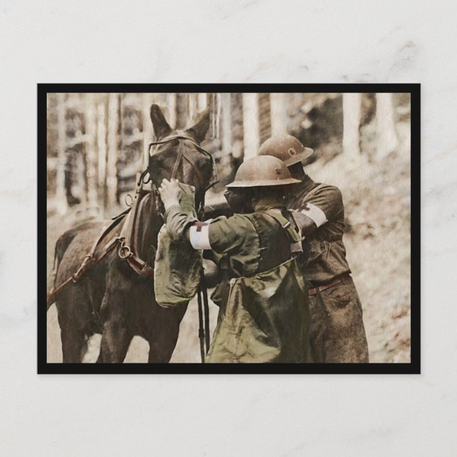 Missouri Mule in a Gas Mask Holiday Postcard (Front)