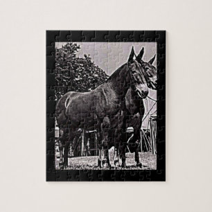Missouri Mule Jigsaw Puzzle