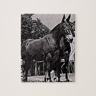 Missouri Mule Jigsaw Puzzle