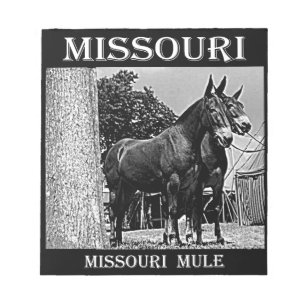 Missouri Mule Notepad