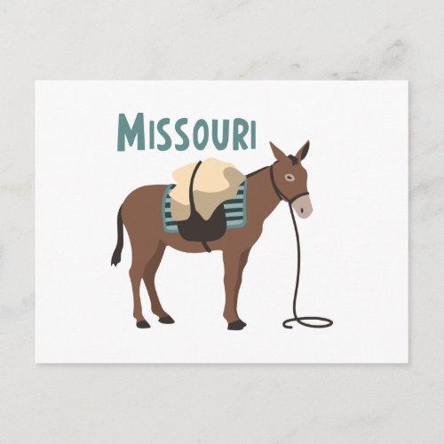 Missouri Mule Postcard