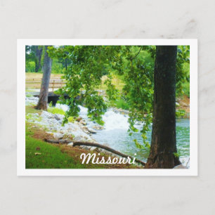 Missouri Postcard