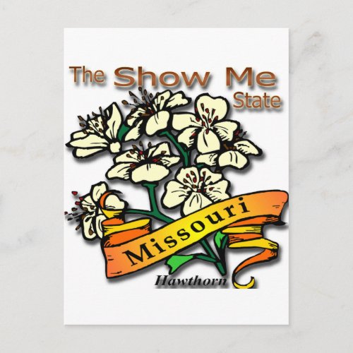 Missouri Show Me State Hawthorn Postcard