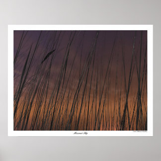 Missouri Sky Poster